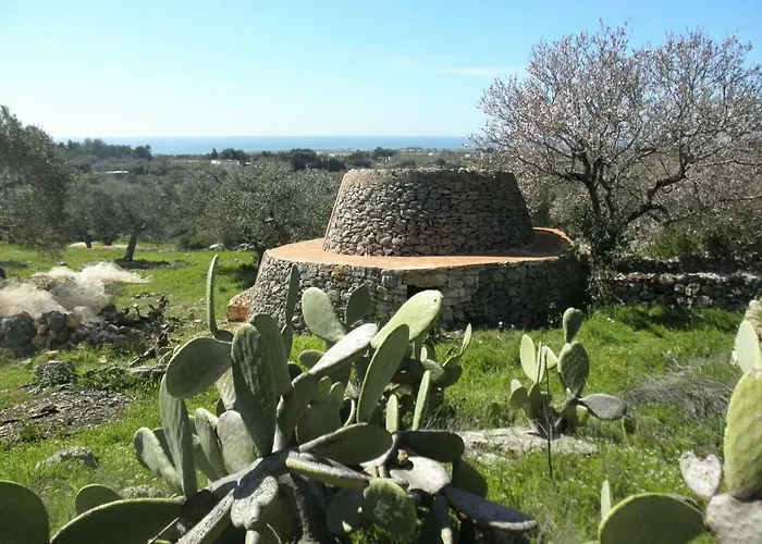 Grazioso Monolocale Della Casa Dell'olivo *