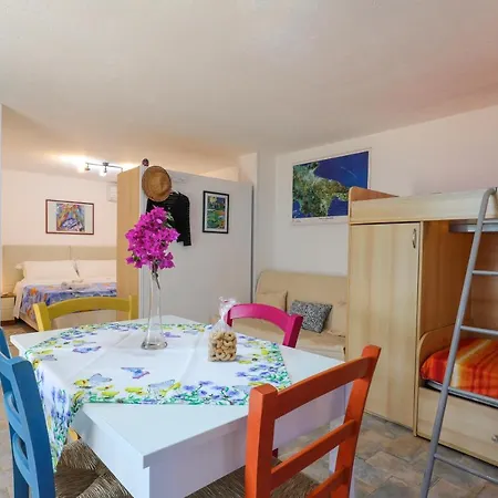 Apartment Grazioso Monolocale Della Casa Dell'olivo
