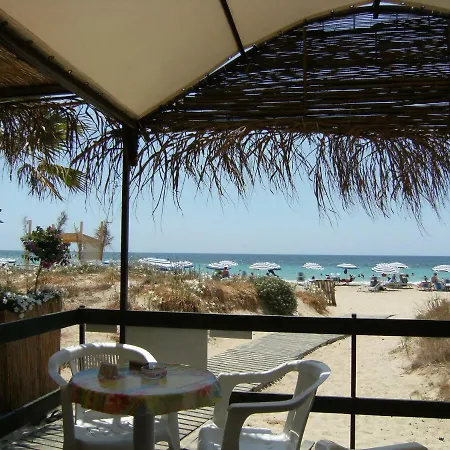 Grazioso Monolocale Della Casa Dell'olivo *
