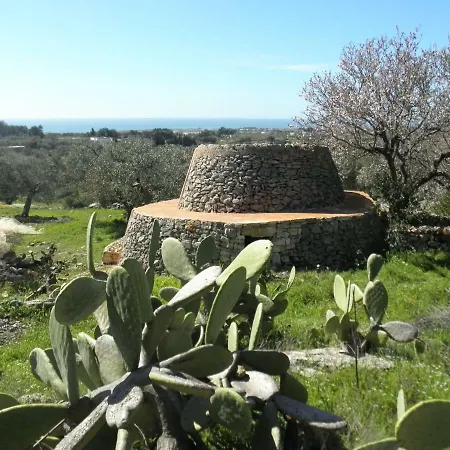 Grazioso Monolocale Della Casa Dell'olivo *